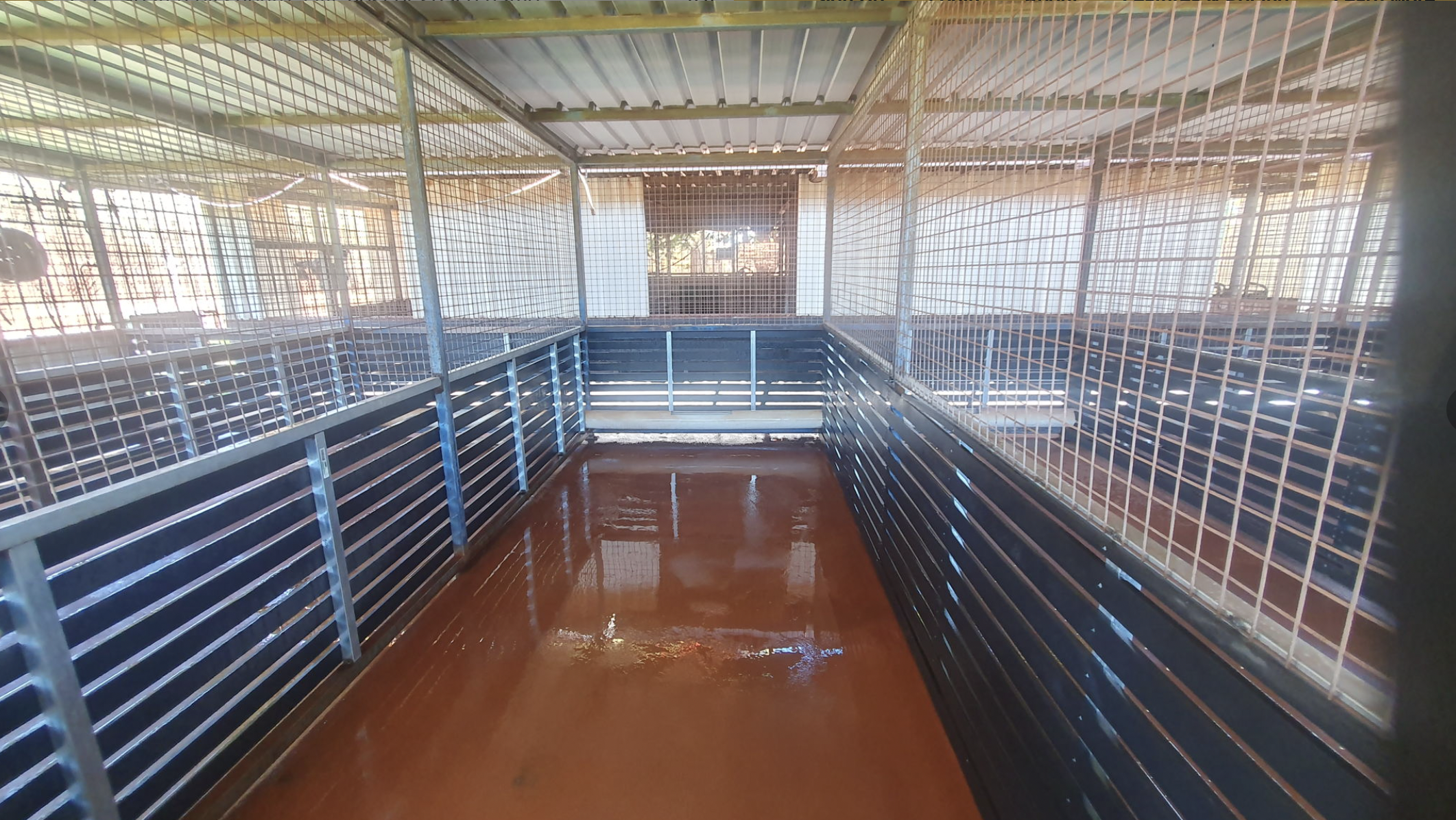 tom price kennel
